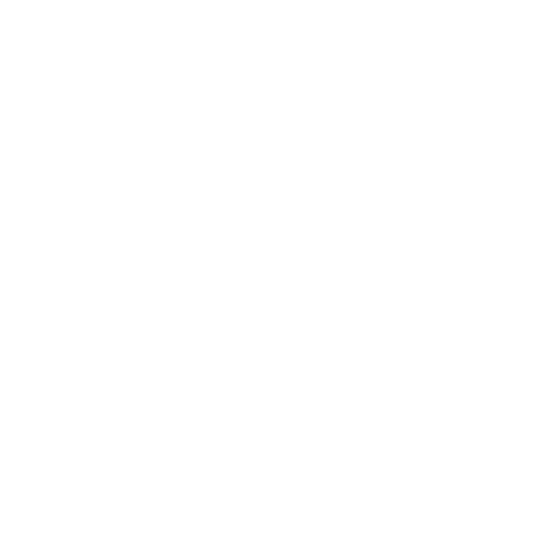 De Vries Ventures